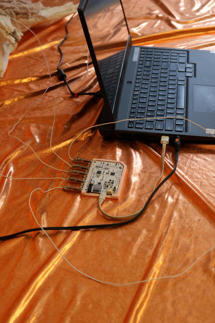 Mosses: A Lush Lexicon - first prototype