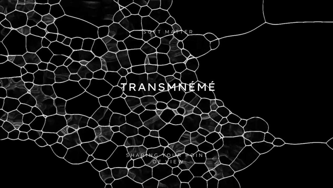 Transmneme