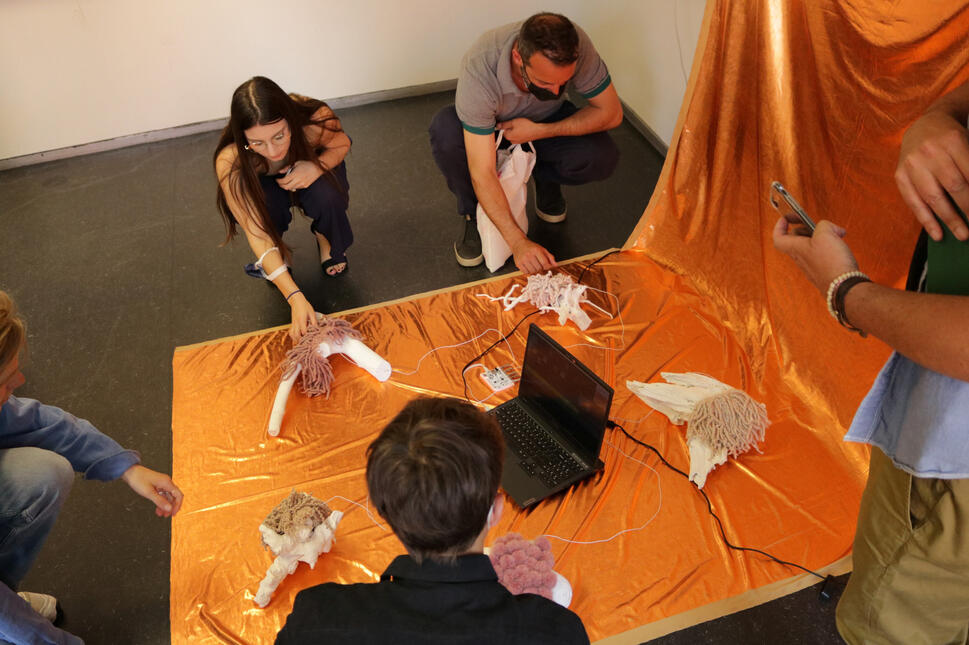 Mosses: A Lush Lexicon